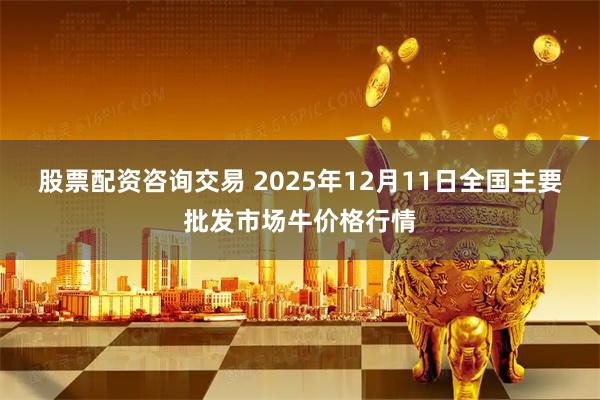 股票配资咨询交易 2025年12月11日全国主要批发市场牛价格行情