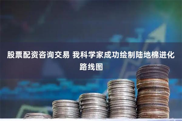 股票配资咨询交易 我科学家成功绘制陆地棉进化路线图