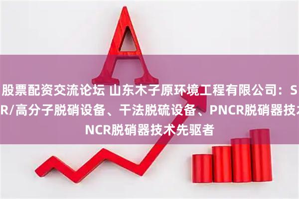 股票配资交流论坛 山东木子原环境工程有限公司：SCR/SNCR/高分子脱硝设备、干法脱硫设备、PNCR脱硝器技术先驱者